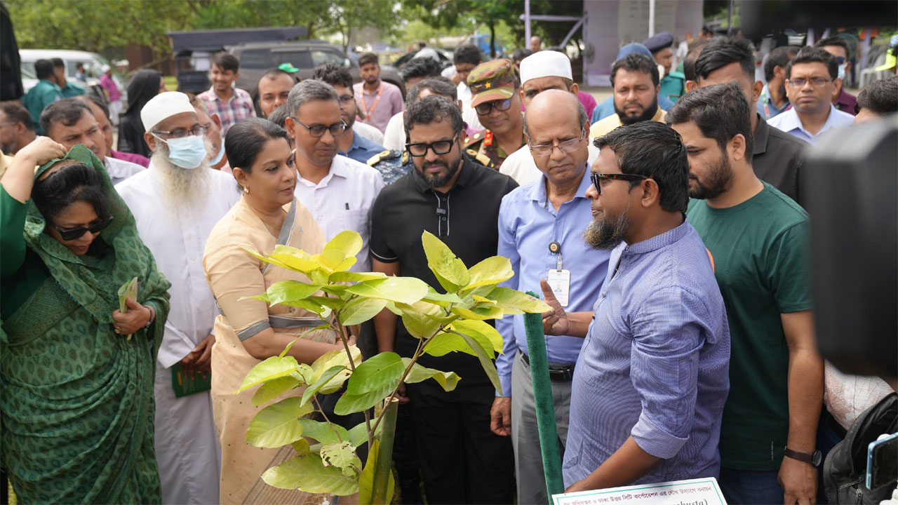 পূর্বাচলে বনায়ন কর্মসূচি শুরু করল ডিএনসিসি