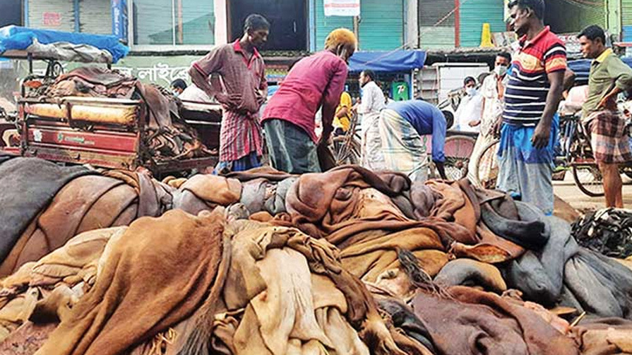 চট্টগ্রামে চামড়ার ঠাঁই হচ্ছে ময়লার ভাগাড়ে