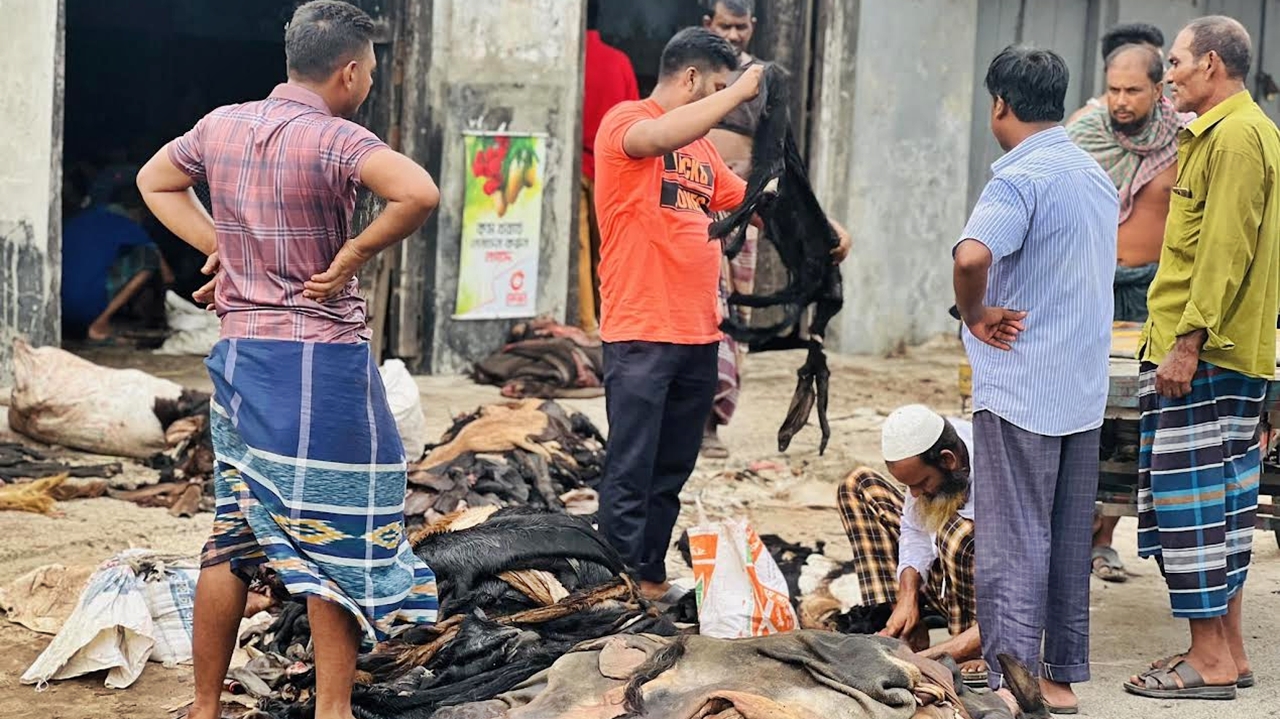 কাঁচা চামড়ার দাম নিয়ে ধোঁয়াশা, হতাশ মৌসুমি ব্যবসায়ীরা