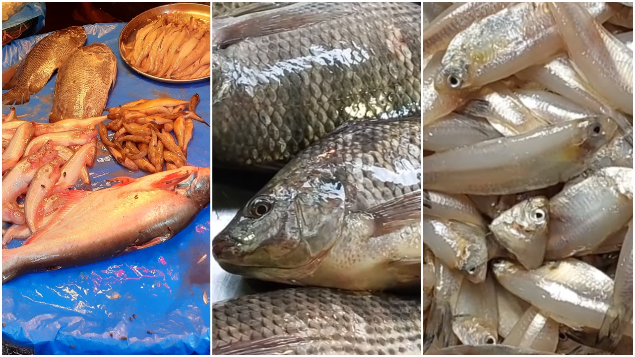 চড়া মাছের বাজার, সবজিতে স্বস্তি