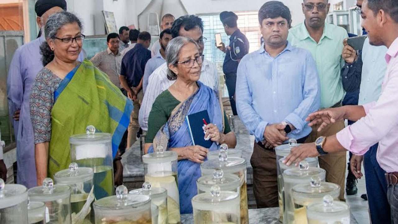 ছোটমাছের বিলুপ্তি ঠেকাতে বিএফআরআইকে সচেষ্ট থাকার নির্দেশ