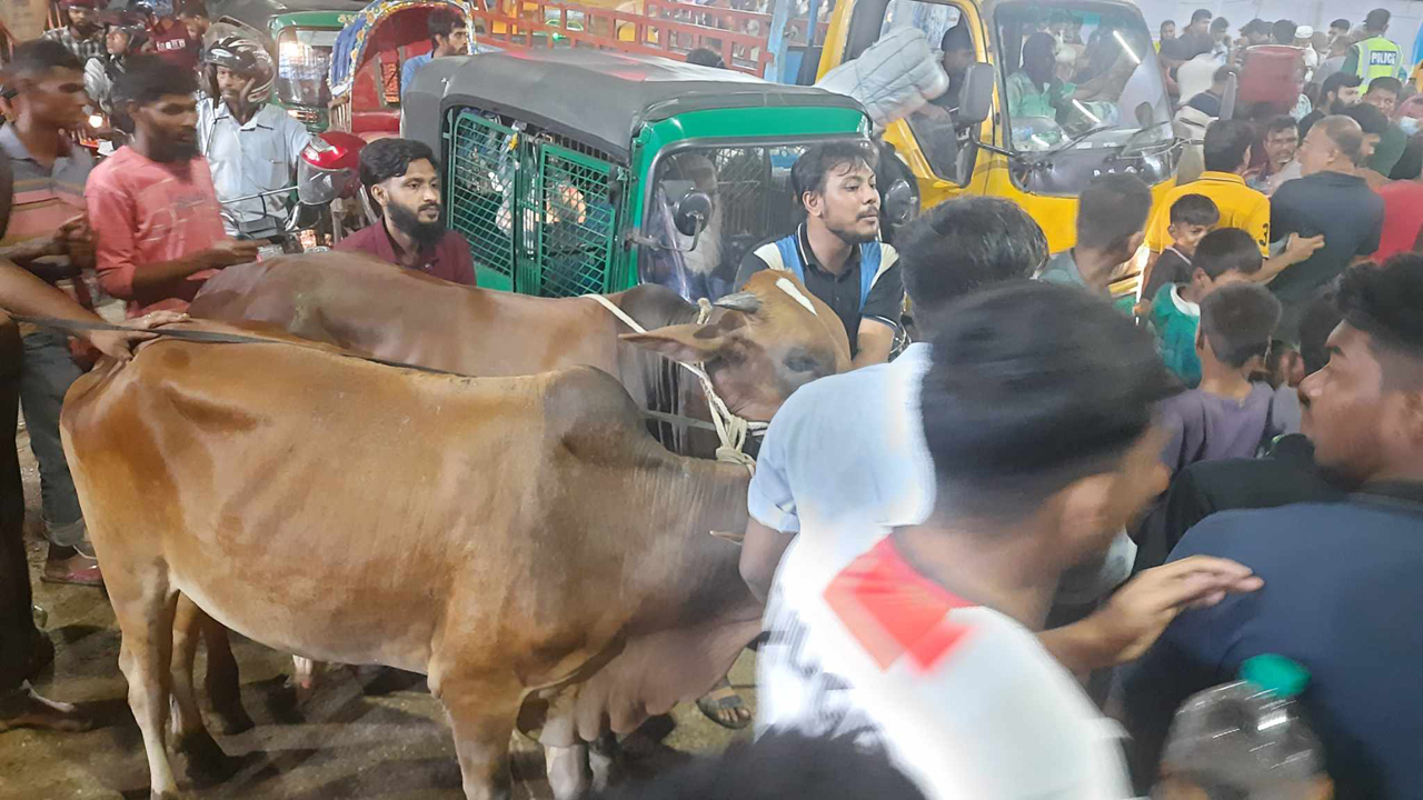 শেষ মুহূর্তে পশু নিয়ে বাড়ি ফিরছেন ক্রেতারা