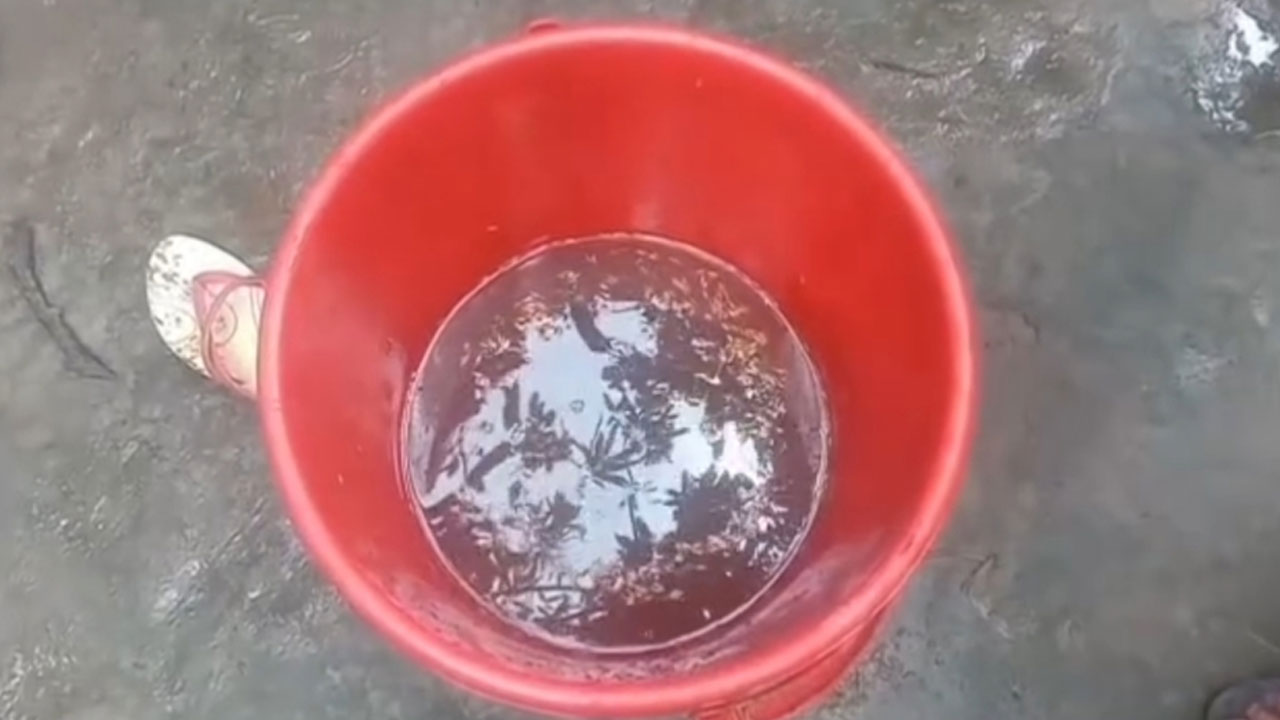 বালতির পানিতে পড়ে শিশুর মৃত্যু