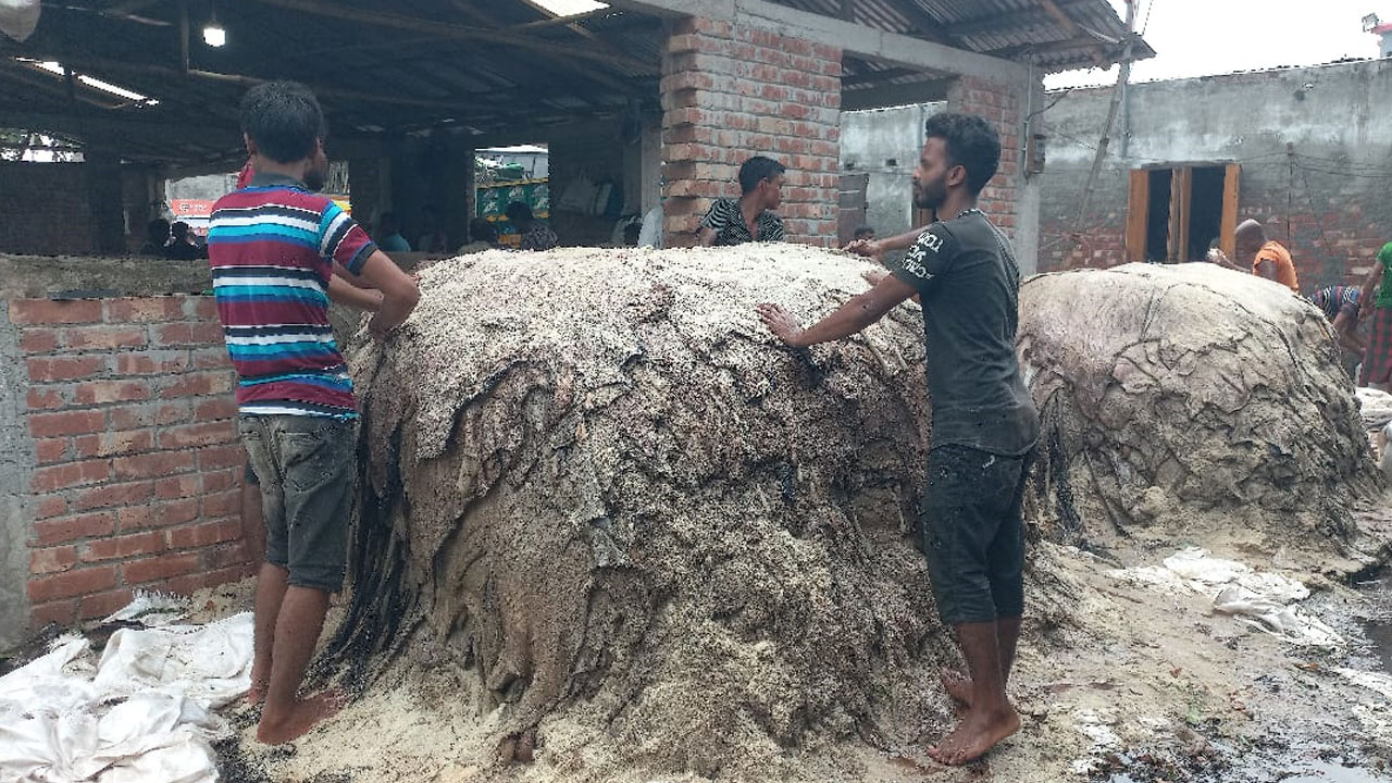 যশোরে চামড়ার দামে হতাশ মৌসুমি ব্যবসায়ীরা
