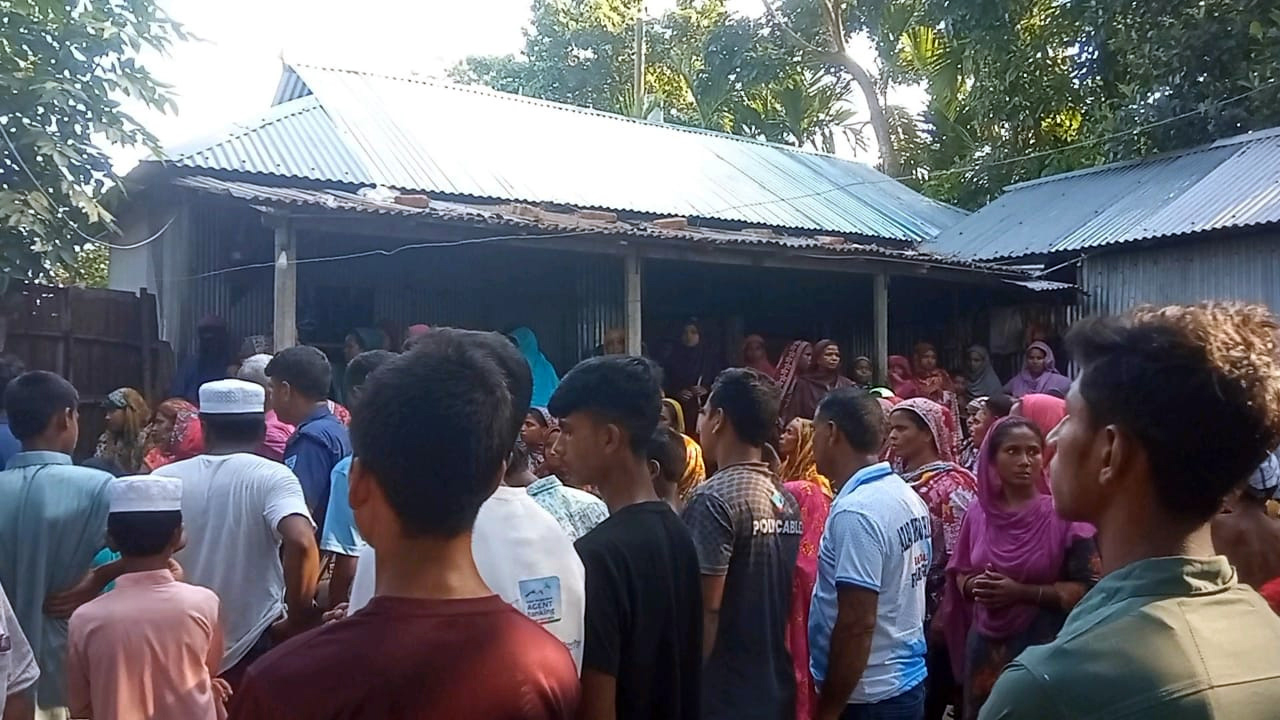 জাম পাড়তে গিয়ে গাছ থেকে পড়ে শিক্ষার্থীর মৃত্যু