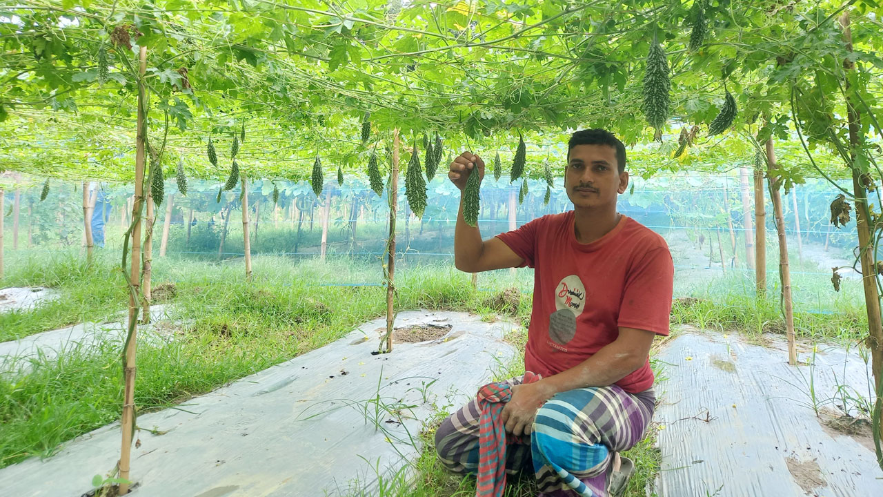 মানিকগঞ্জে সবজি চাষে প্লাস্টিক মালচিং পেপার, স্বপ্ন বুনছেন চাষি