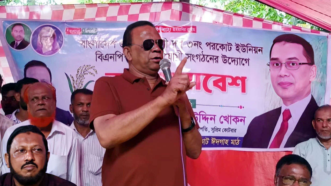 জাতীয় নির্বাচনের আগে স্থানীয় নির্বাচন সংবিধান পরিপন্থি