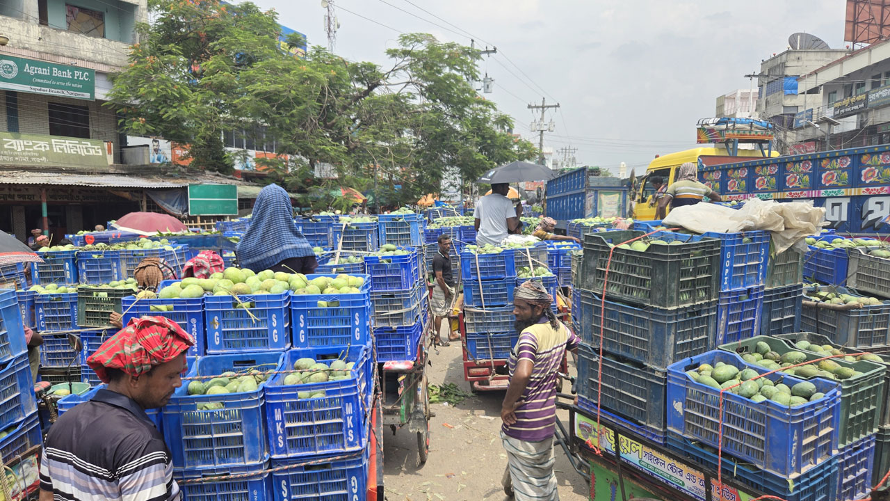 জমে উঠেছে নওগাঁর সাপাহার আমের হাট, দাম কম