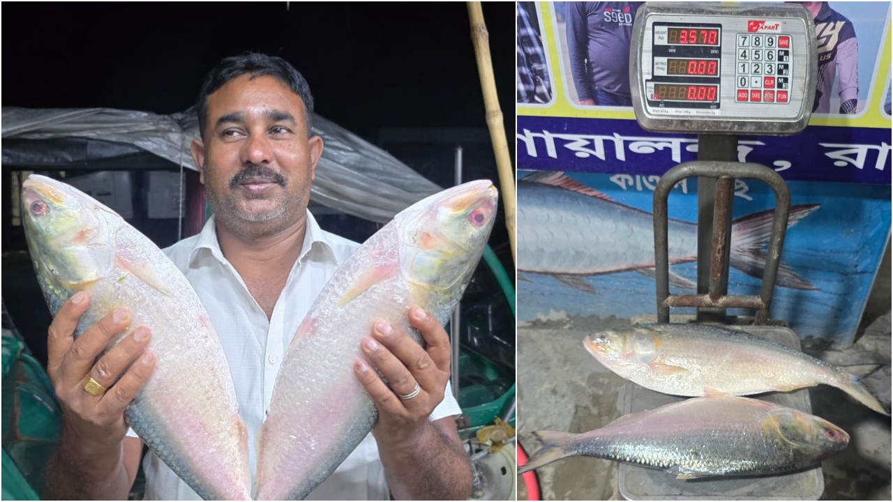 পদ্মার দুই ইলিশের দাম ১৪ হাজার টাকা
