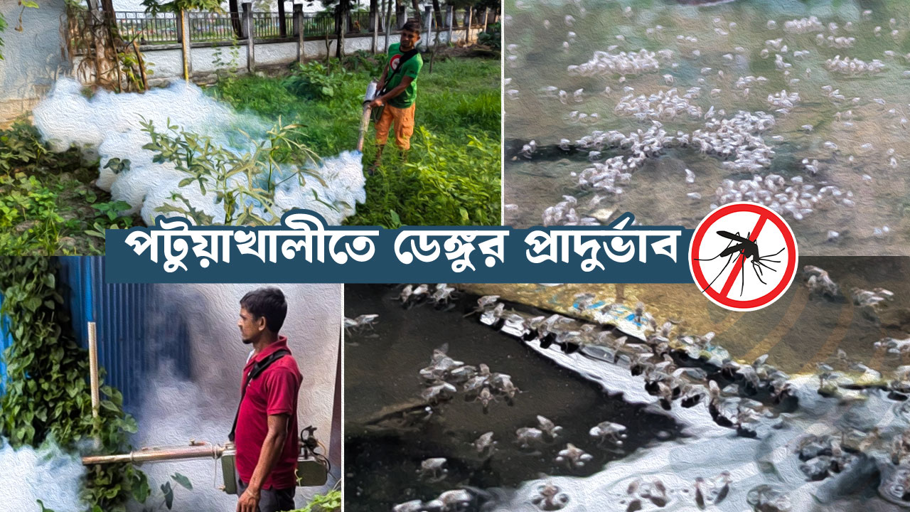 এডিস মশা নিয়ন্ত্রণে ব্যর্থতার দায় কার?