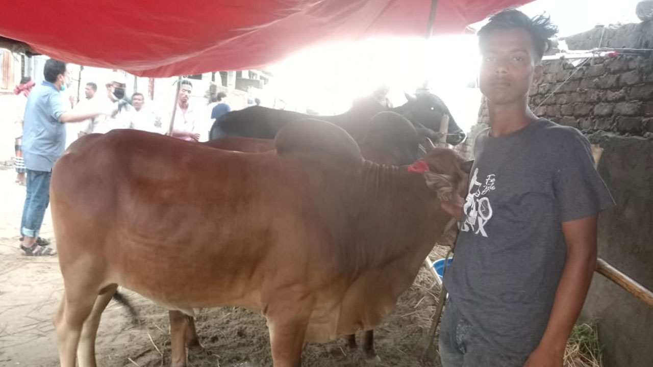 ‘গরু বিক্রি হলো, কিন্তু আব্বাকে আর পাব না’