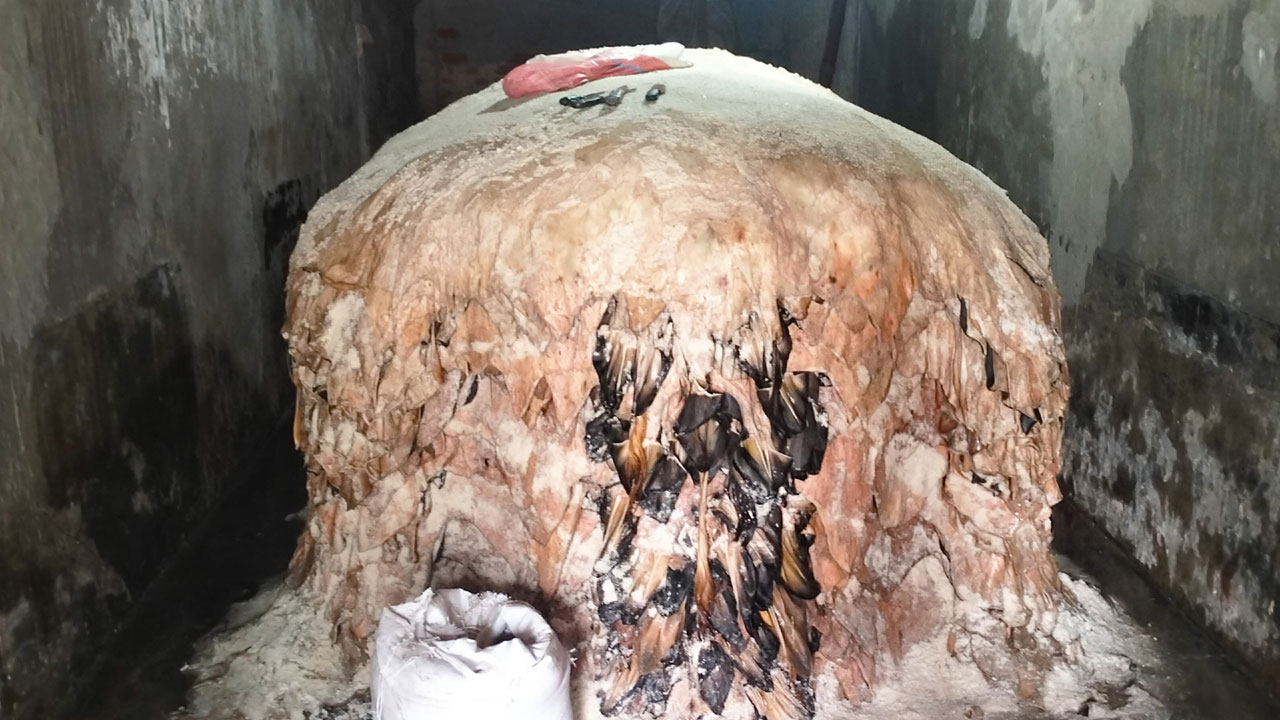 রংপুরে সক্রিয় পুরোনো সিন্ডিকেট, চামড়ার দামে হতাশ মৌসুমি ব্যবসায়ীরা