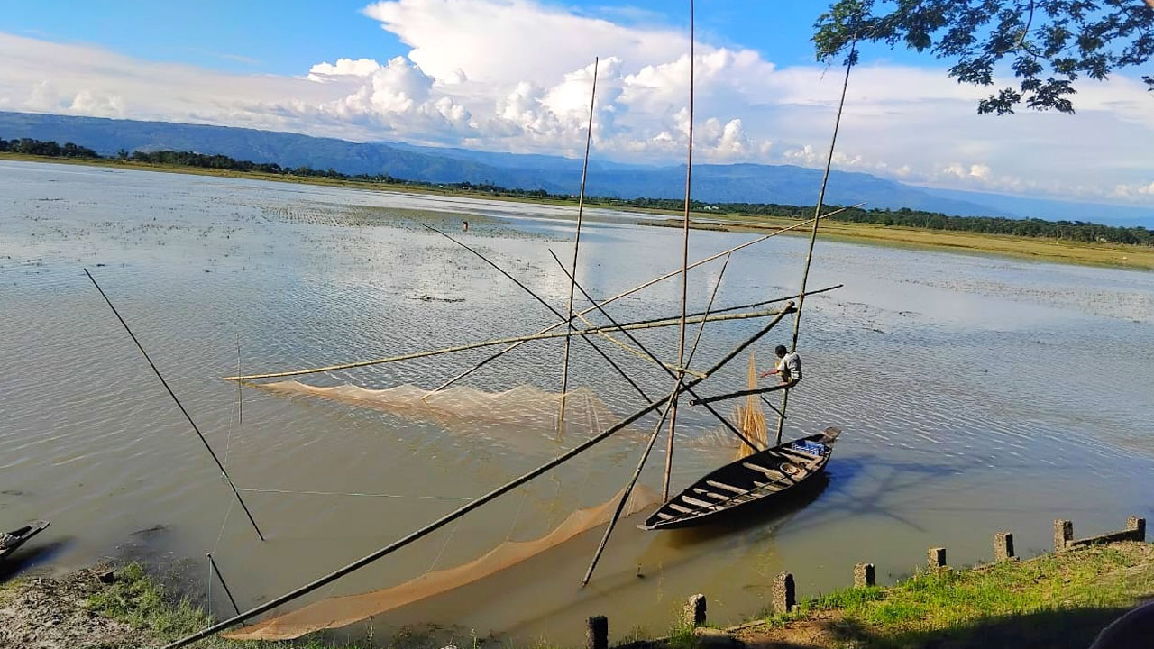 হাওরে মাছের সংকট, ঝুঁকিতে হাজার কোটি টাকার অর্থনীতি