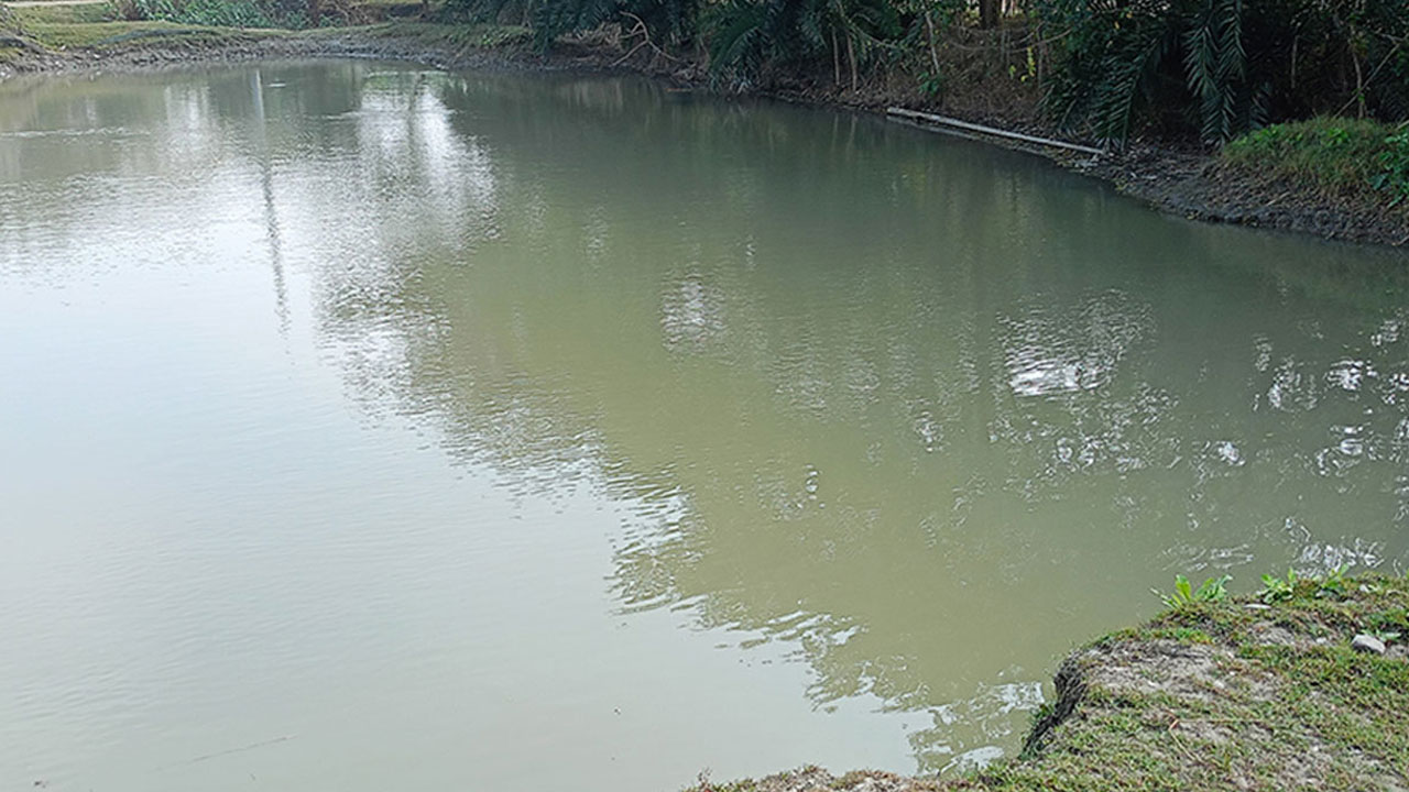 টাঙ্গাইলে পুকুরের পানিতে ডুবে ৩ শিশুর মৃত্যু