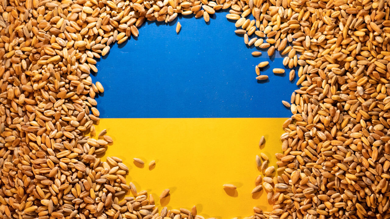 ‘চুরি করা গম’ কেনায় বাংলাদেশি কোম্পানির বিরুদ্ধে নিষেধাজ্ঞা চায় ইউক্রেন