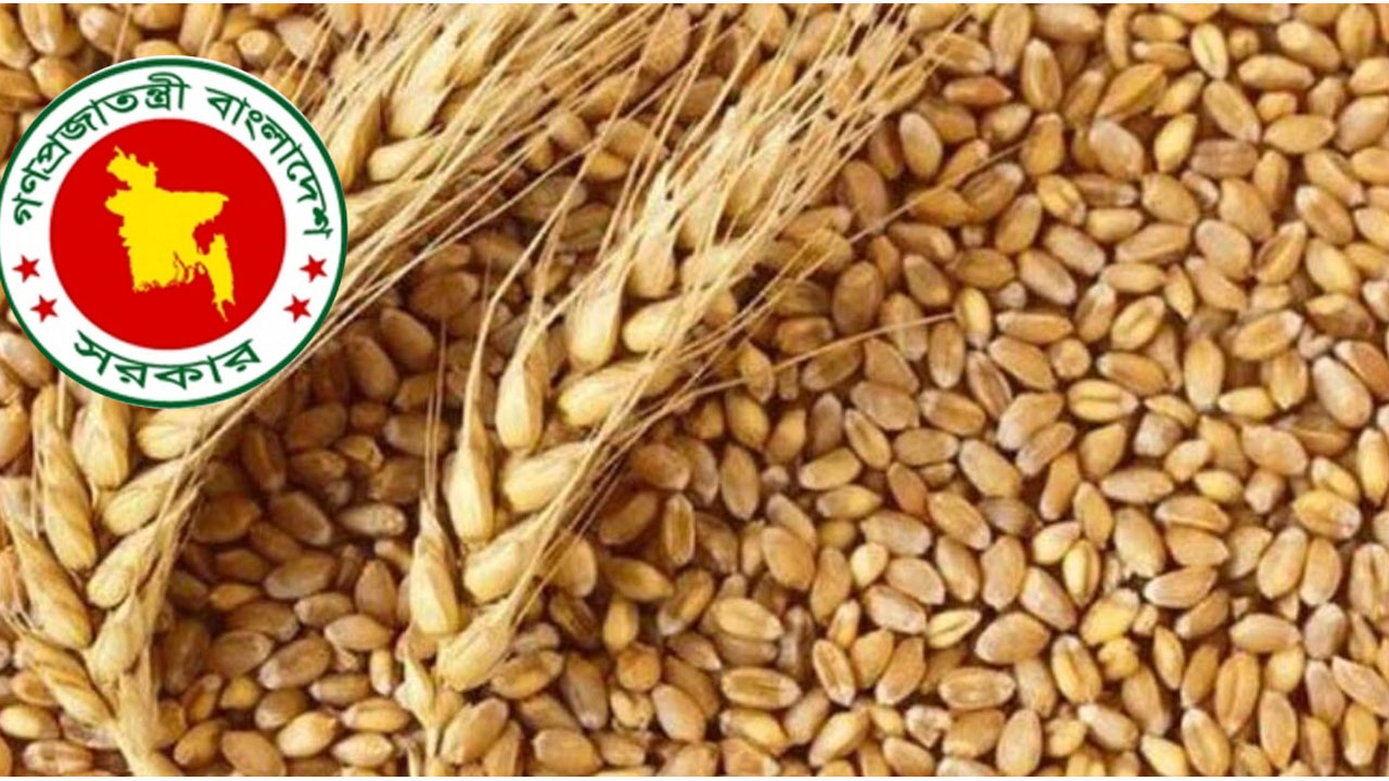 সংযুক্ত আরব আমিরাত থেকে ৫০ হাজার টন গম কিনবে সরকার
