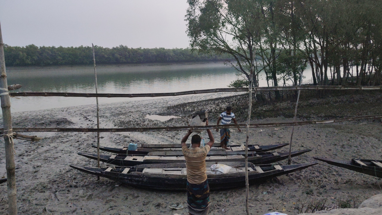 ২ মাস পর সুন্দরবনে কাঁকড়া আহরণ শুরু, স্বস্তি ফিরল জেলে পরিবারে