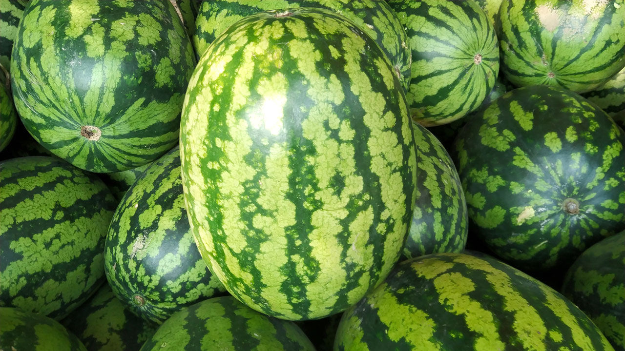 রমজানে বাজারে নতুন তরমুজ, কেজি ৭০ টাকা