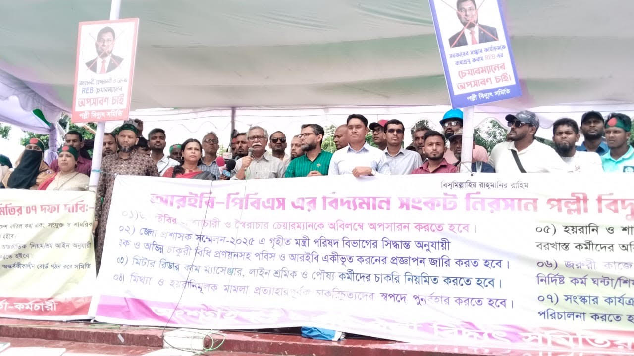 পল্লী বিদ্যুৎ ইস্যুতে সরকার স্বৈরাচারের মতো আচরণ করছে : আনু মুহাম্মদ