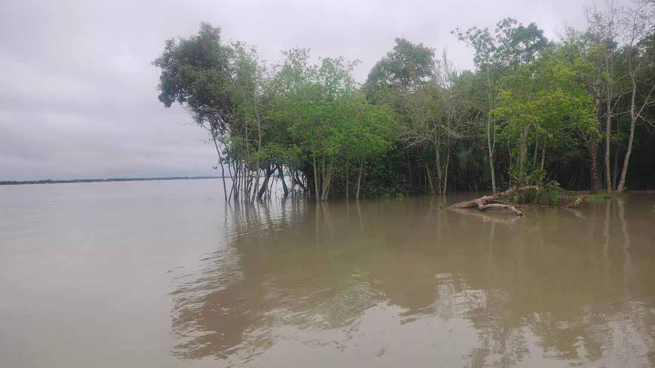 বাগেরহাটে নিম্নচাপের প্রভাবে নদ-নদীর পানি বৃদ্ধি, সুন্দরবন প্লাবিত