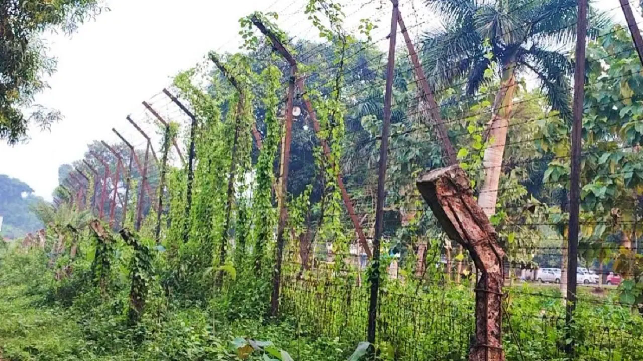 ব্রাহ্মণবাড়িয়া সীমান্তে বিএসএফের গুলিতে ২ জন আহত