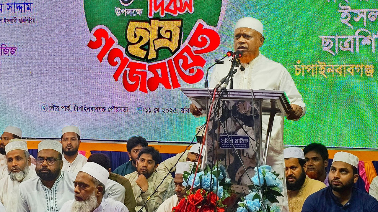 অতীতে যারাই ক্ষমতায় এসেছে তারাই ভারতের তাঁবেদারি করেছে