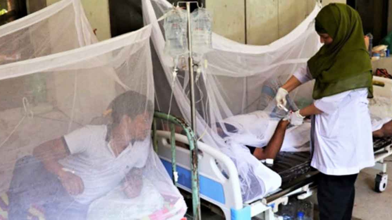 ২৪ ঘণ্টায় ৮৬ ডেঙ্গু রোগী হাসপাতালে ভর্তি