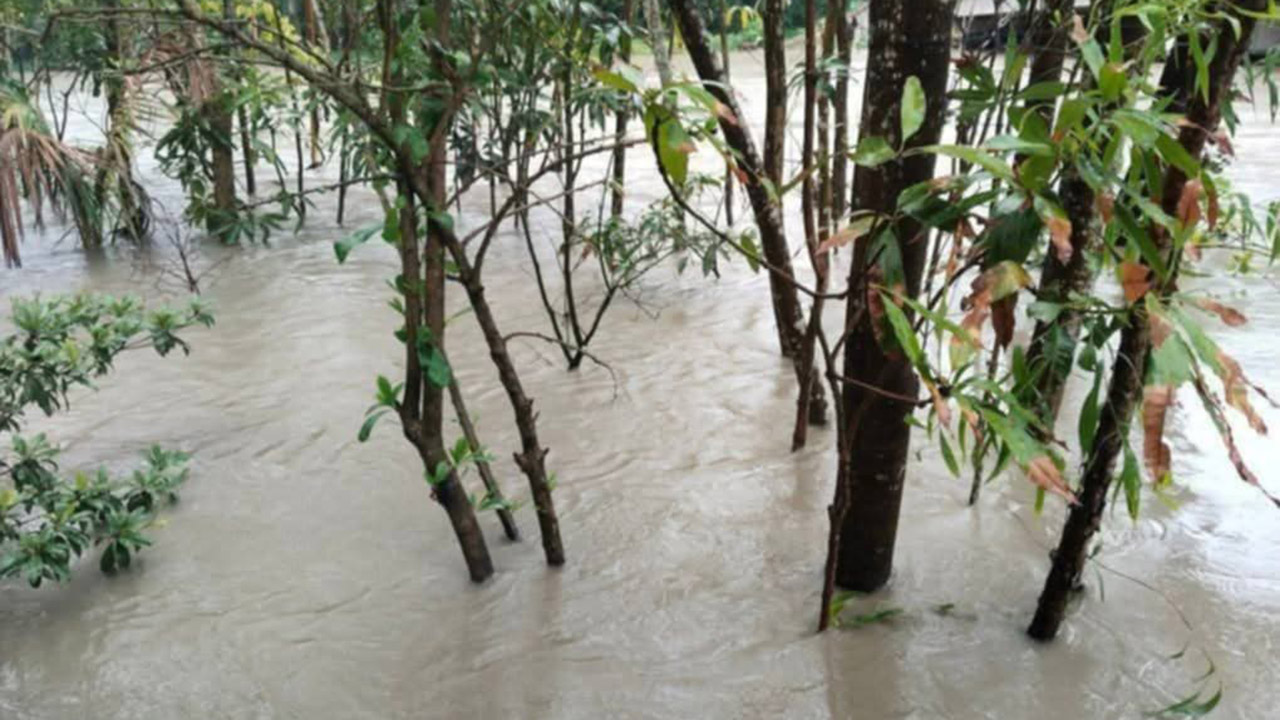 নিম্নচাপের প্রভাবে সোনাগাজীর ৪ ইউনিয়ন প্লাবিত