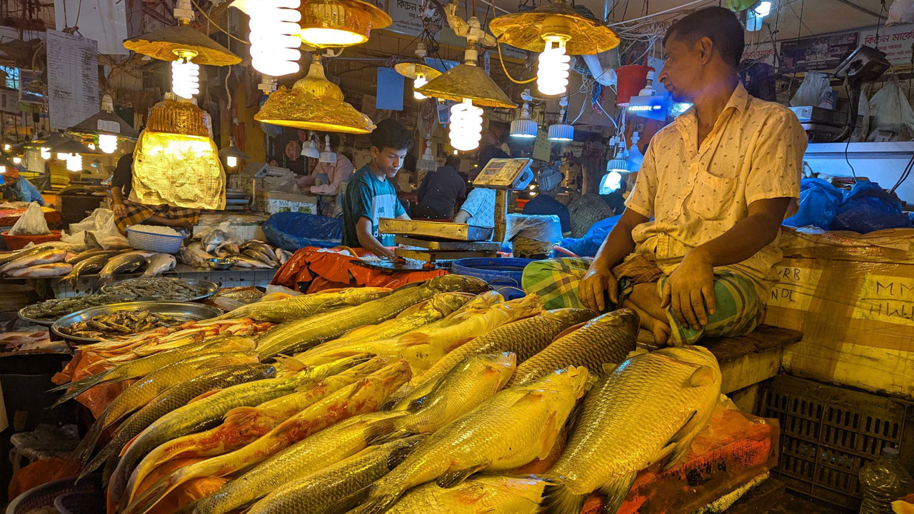 মাছের চড়া দামে নাকাল ক্রেতারা