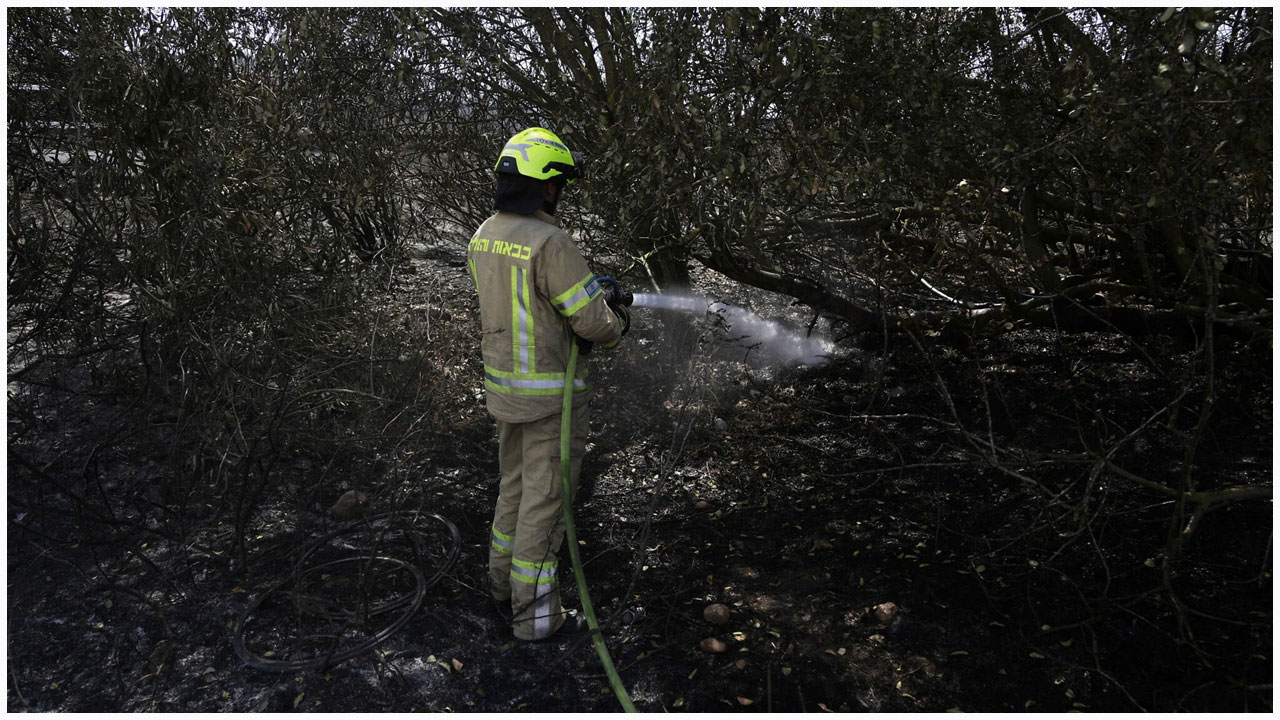 ইসরায়েলে ফের দাবানল, নিয়ন্ত্রণের চেষ্টা