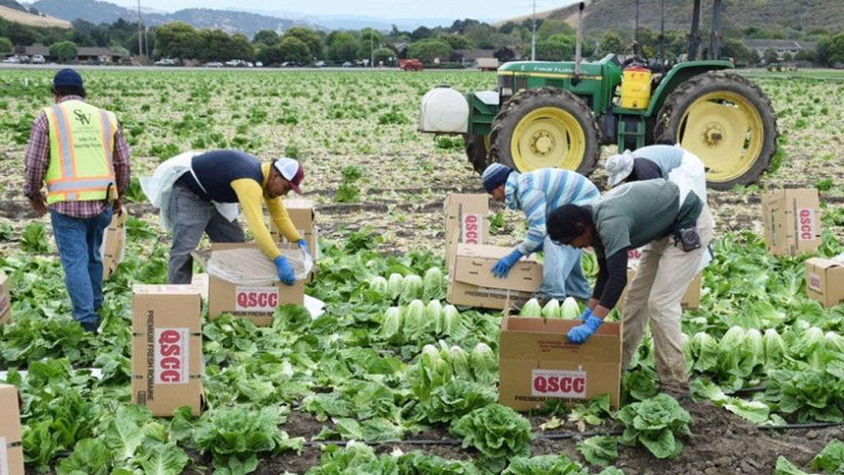 ৬০ হাজার কর্মীর ভিসা ‘জট’ খোলার তাগিদ দেবে বাংলাদেশ
