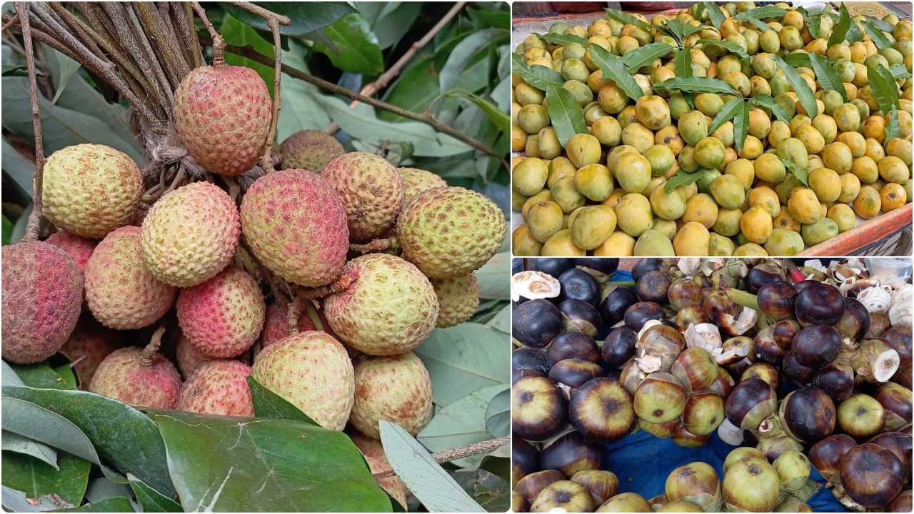 আম-লিচুর মৌসুম শুরু, রাজধানীর গলি-মহল্লায় তালের শাঁসের সমারোহ