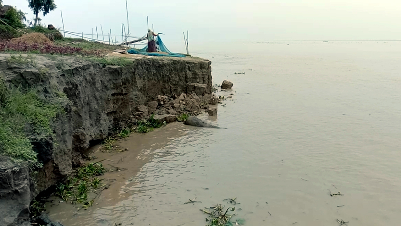 মানিকগঞ্জে নদী ভাঙনের ঝুঁকিতে বসতবাড়ি-ফসলি জমিসহ ৬৪ স্থান