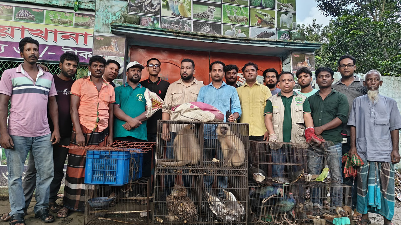 মেহেরপুরে মনোরমা মিনি চিড়িয়াখানায় অভিযান, ২৭ বন্যপ্রাণী উদ্ধার