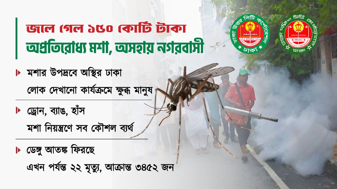 ‘অপ্রতিরোধ্য’ মশার পেটে ১৫০ কোটি টাকা, ফলাফল শূন্য