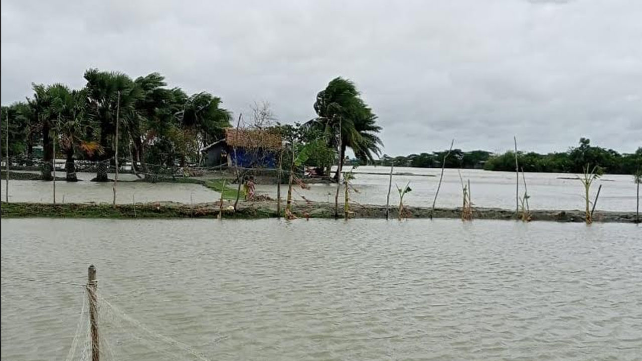 নোয়াখালীর উপকূলে বৃষ্টি-দমকা হাওয়া, বন্যার শঙ্কা