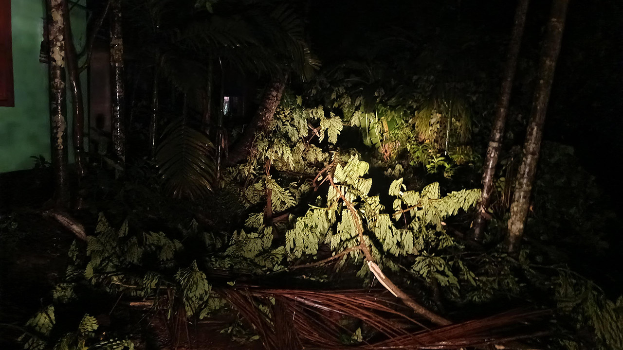 নিম্নচাপের প্রভাবে বিদ্যুৎ বিচ্ছিন্ন নোয়াখালী