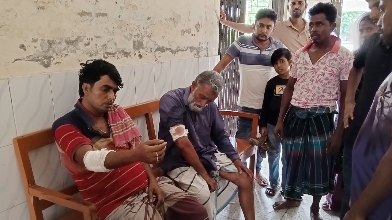 পদ্মার চরে ৮ কৃষককে পিটিয়ে জখম, দুই গরু জবাই করে পিকনিক