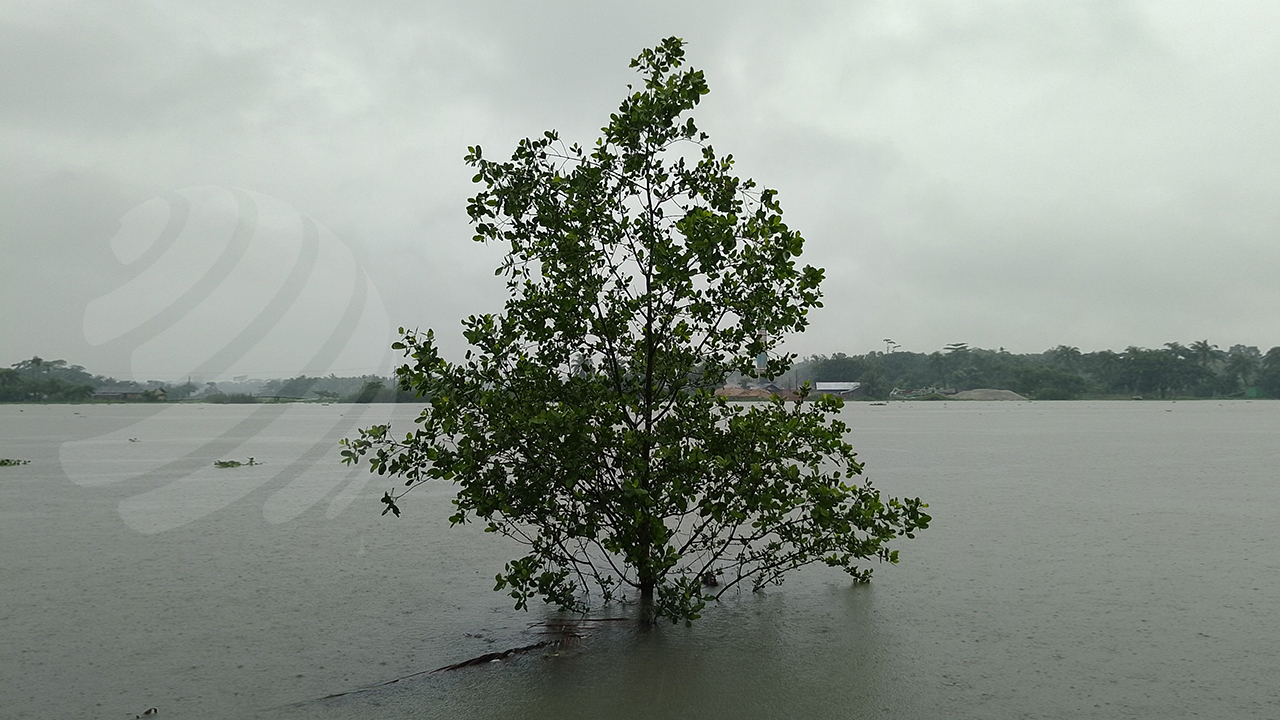 উপকূল অতিক্রম করেছে গভীর নিম্নচাপ, ১৬ জেলায় জলোচ্ছ্বাসের শঙ্কা