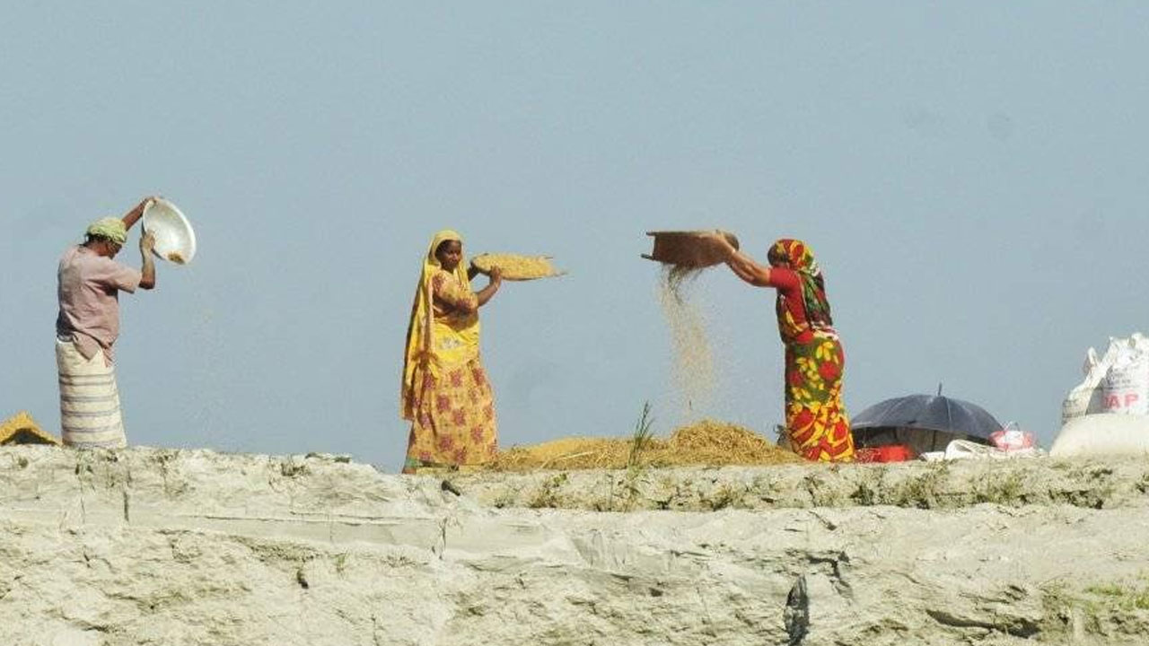 ‘ব্যাটাদের লগে তাল মিলি কাম করি, তারা পায় ৫০০ আর হামার বেলায় ২০০’