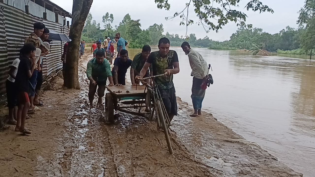 শেরপুরে ভাঙনের মুখে মহারশি নদীর পাড়, স্থানীয়দের উদ্বেগ