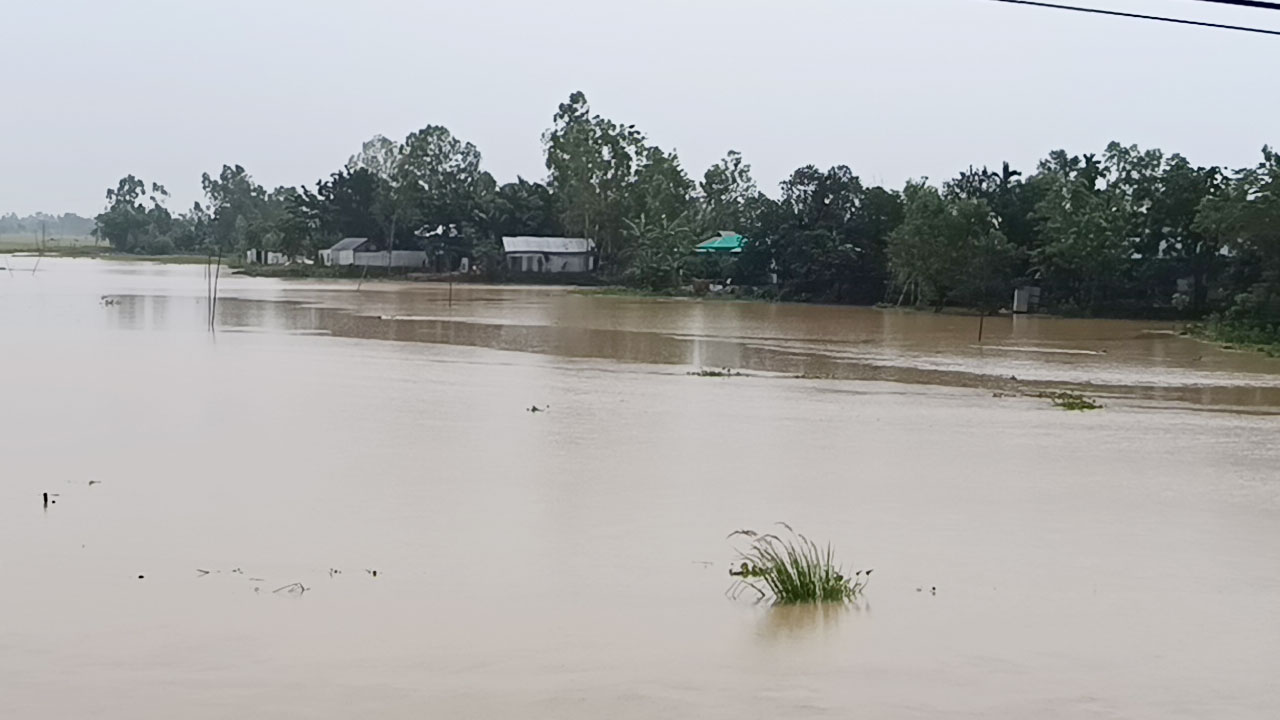 শেরপুরে বাড়ছে নদ-নদীর পানি, নিম্নাঞ্চল প্লাবিত হওয়ার শঙ্কা