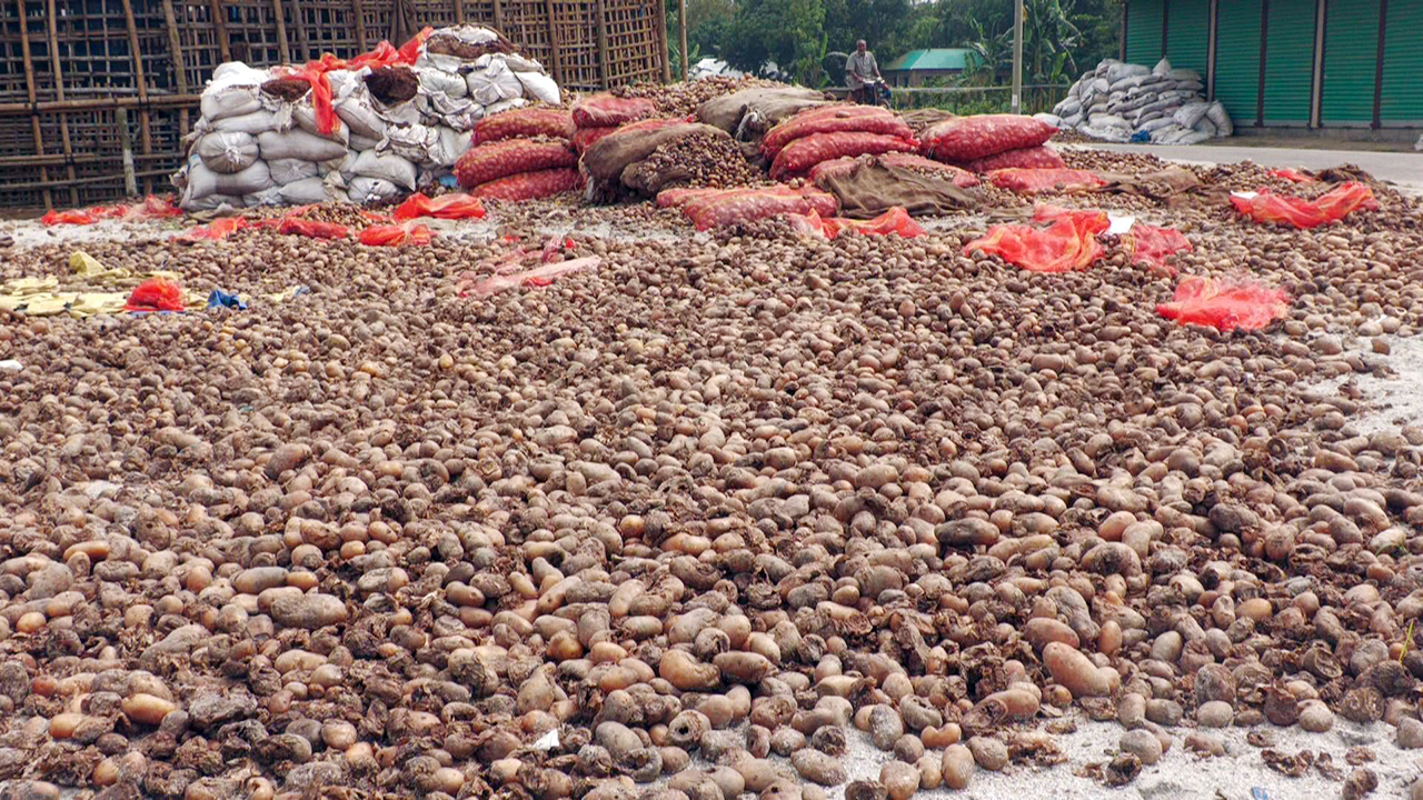 সড়কেই নষ্ট হচ্ছে কৃষকের কষ্টের ফসল