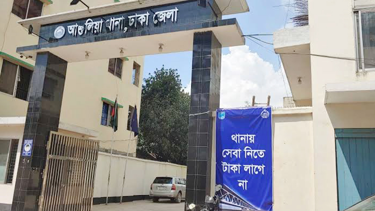 আশুলিয়ায় অস্ত্রের মুখে জিম্মি করে ট্রাকভর্তি ৩০ গরু ডাকাতি