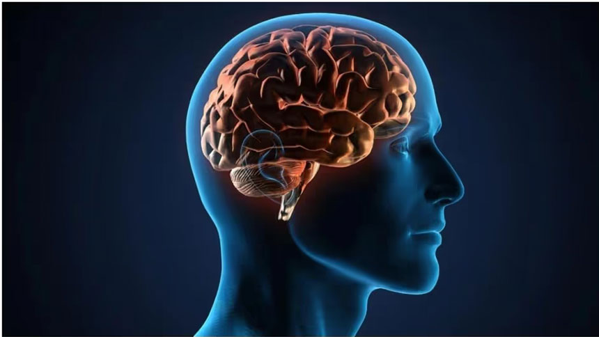 কিছু সাধারণ ভুল আপনার মস্তিষ্ক নষ্ট করে দিচ্ছে না তো?