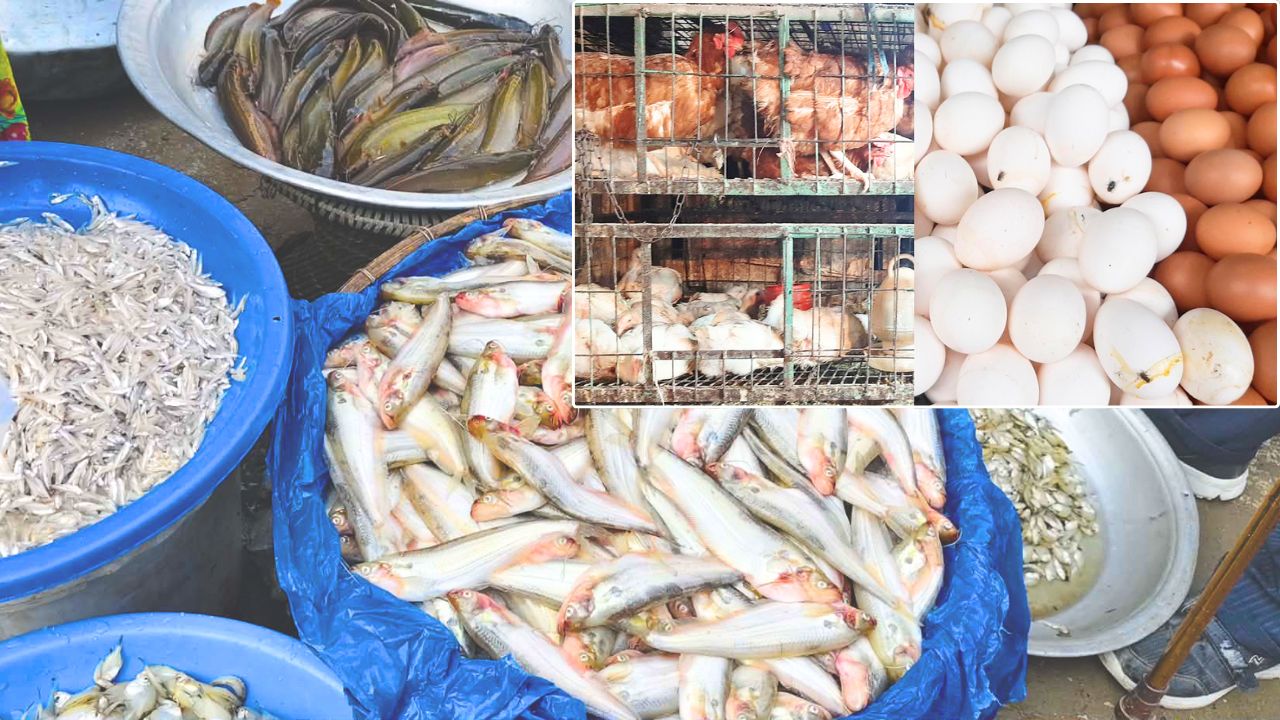 মাছের বাজারে চড়া দাম, মুরগি-ডিমে কিছুটা স্বস্তি