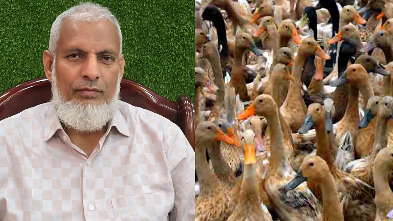 মাত্র দুই টাকায় মিলবে ডাক প্লেগের টিকা 