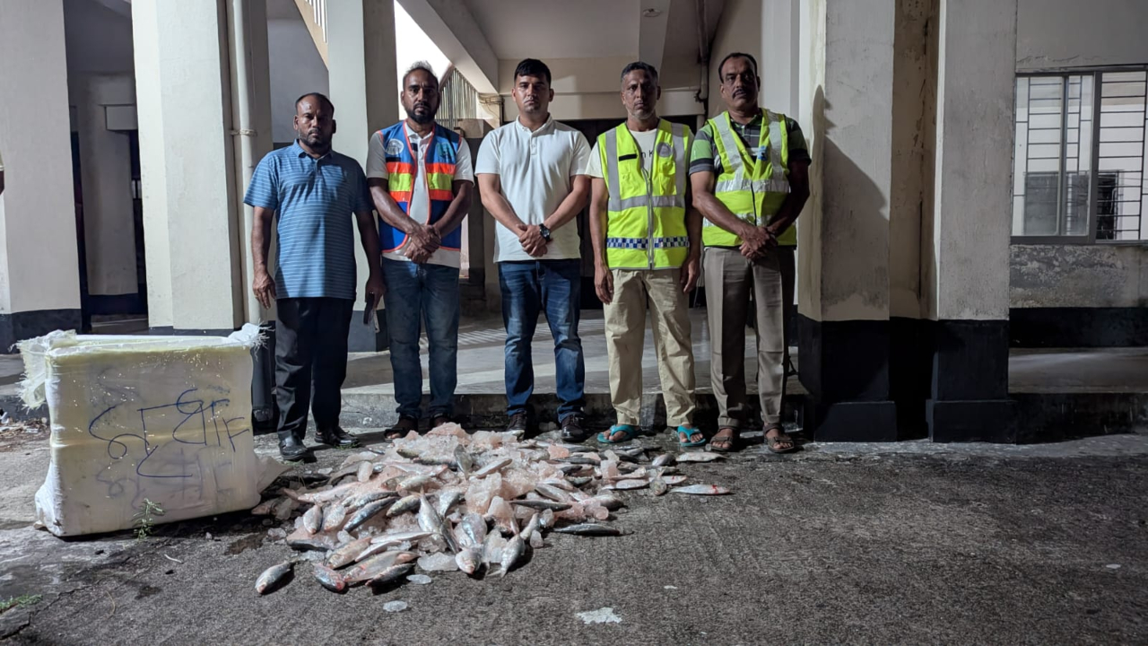 কুয়াকাটায় ৫০ কেজি জাটকা ইলিশ জব্দ, পরে এতিমখানায় বিতরণ 