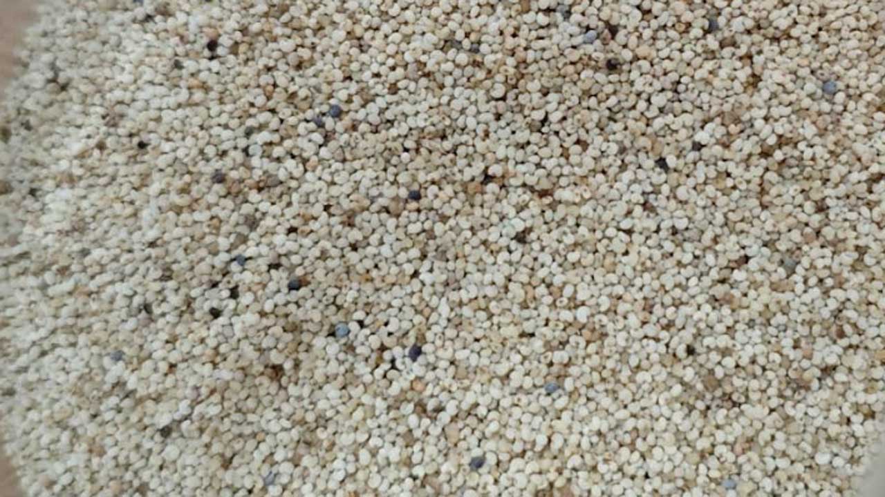 পাখির খাদ্যের আড়ালে পাকিস্তান থেকে এলো ২৫ হাজার কেজি মাদক