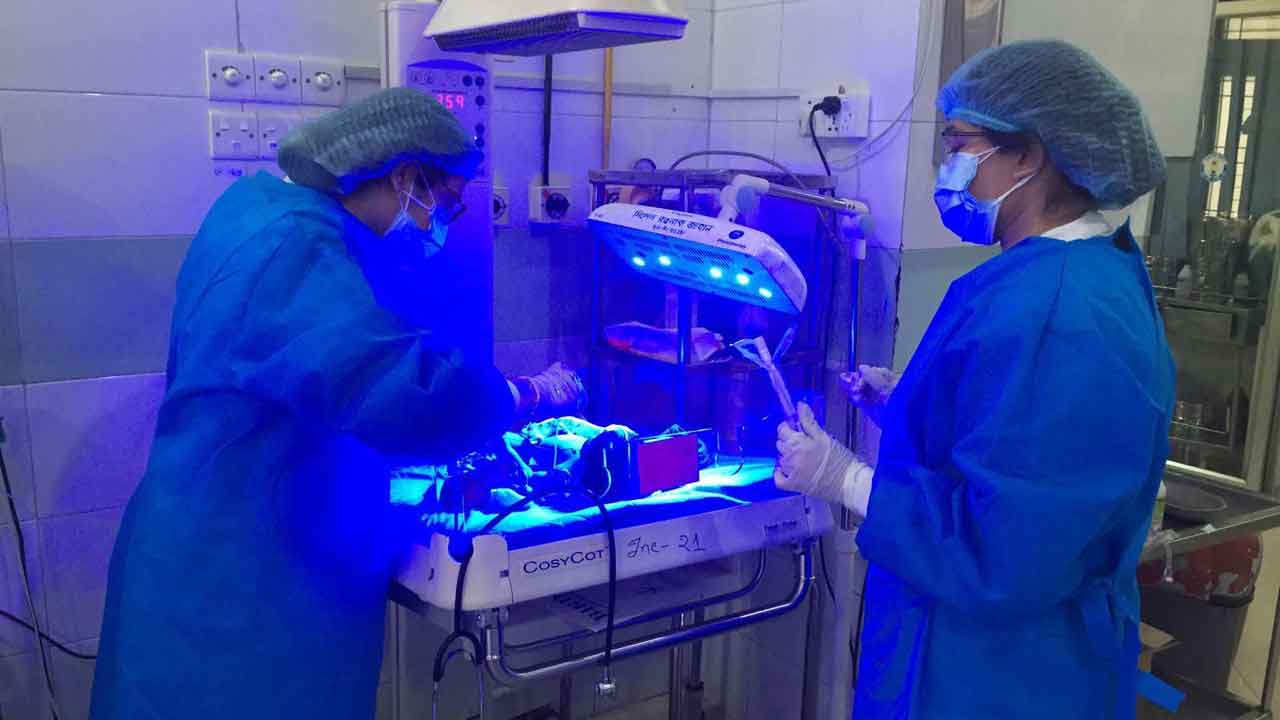 নবজাতকদের এনআইসিইউতে ছড়িয়ে পড়ছে ফাঙ্গাল ‘সুপারবাগ’, গবেষকদের সতর্কবার্তা